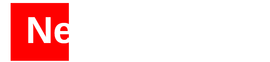 Nebojsa Logo